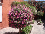 DSC01890