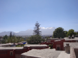 DSC01896