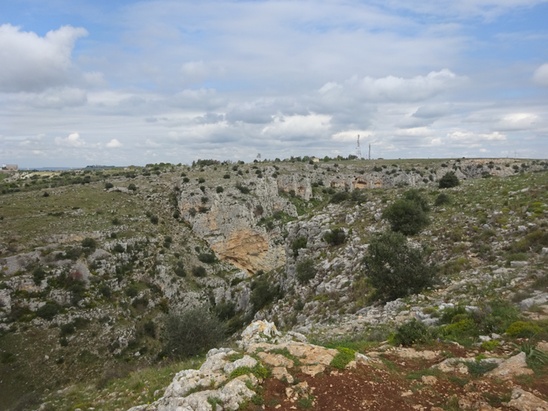 2023-04-05 11-26-03_Tarante