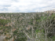 2023-04-05 13-43-02_Tarante