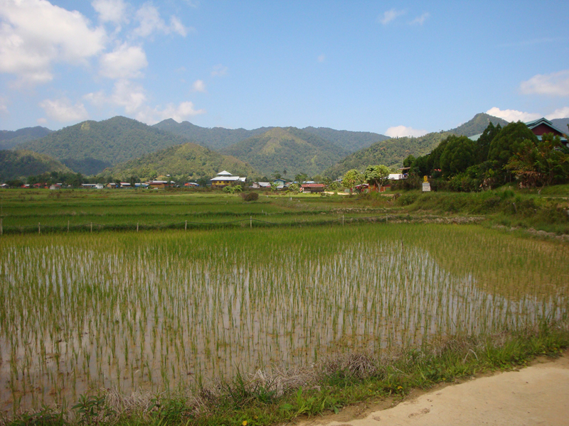 2012-10-09 15-38-43 - DSC00368