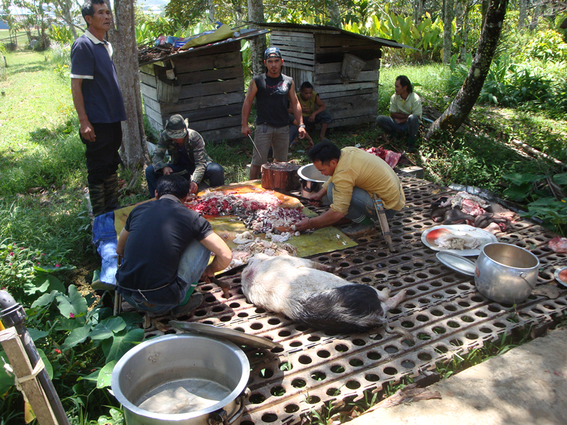 2012-10-09 16-21-26 - DSC00377