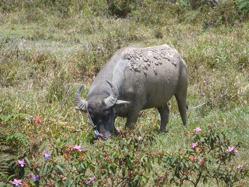 2012-10-09 17-04-39 - DSC00385