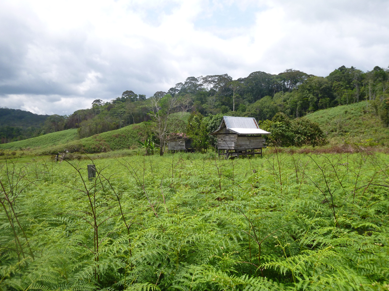 2012-10-10 10-46-59 - P1000399