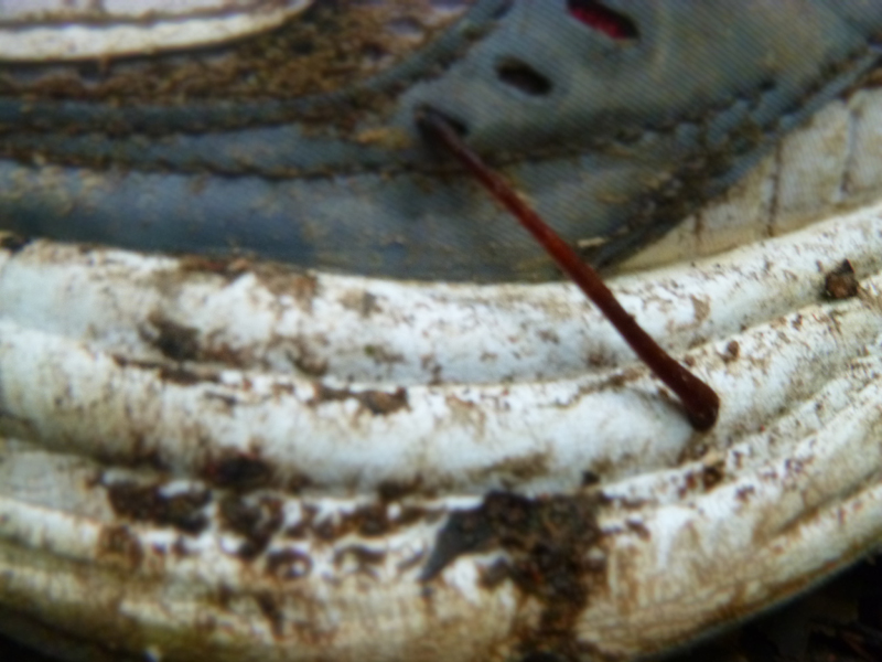 2012-10-11 10-50-25 - P1000425