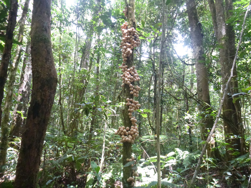 2012-10-11 12-46-20 - P1000439