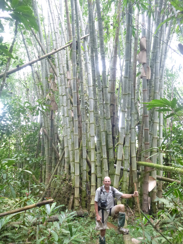 2012-10-11 13-07-11 - P1000443