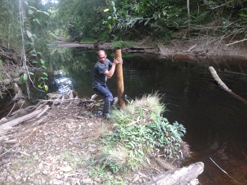 2012-10-11 16-29-45 - P1000463