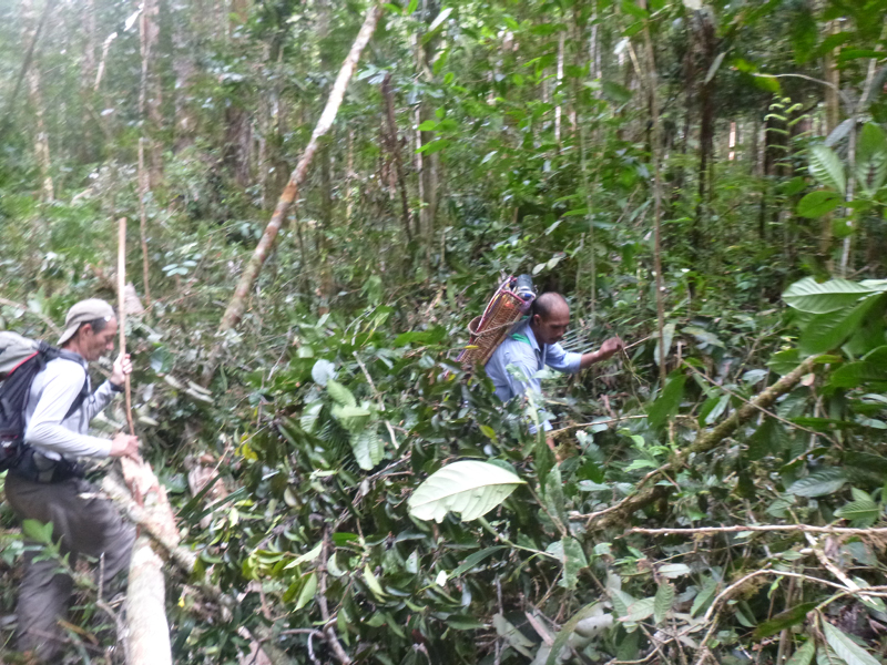 2012-10-12 09-50-12 - P1000482