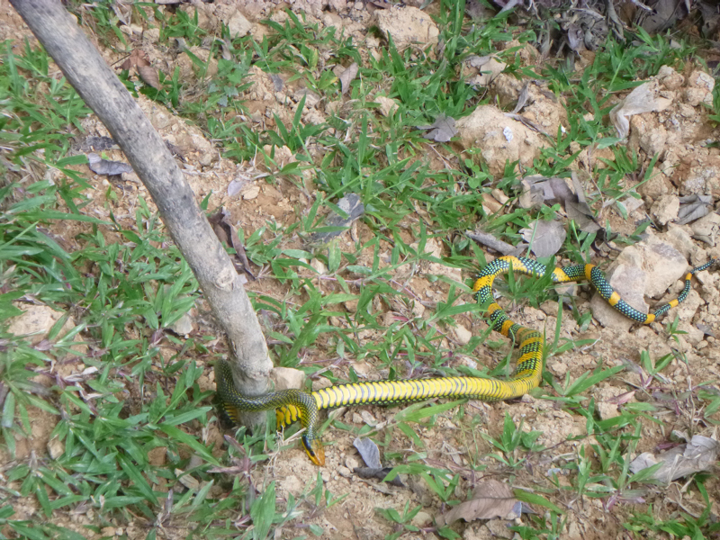 2012-10-12 14-21-11 - P1000528