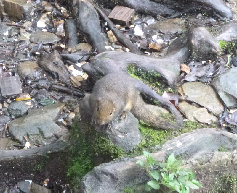 2012-10-15 10-32-58 - P1000771