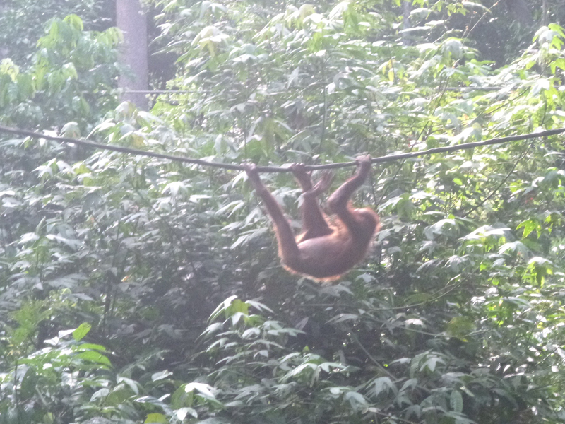 2012-10-17 15-20-28 - P1000950