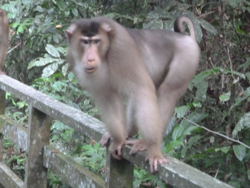 2012-10-17 15-28-43 - P1000959