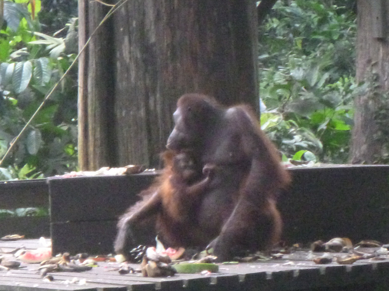 2012-10-17 15-40-37 - P1000967