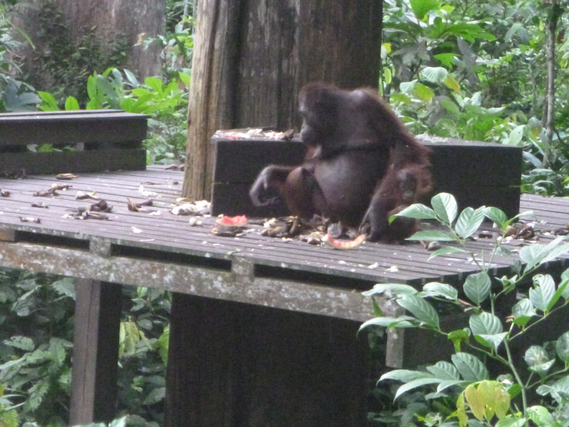 2012-10-17 15-52-14 - P1000993