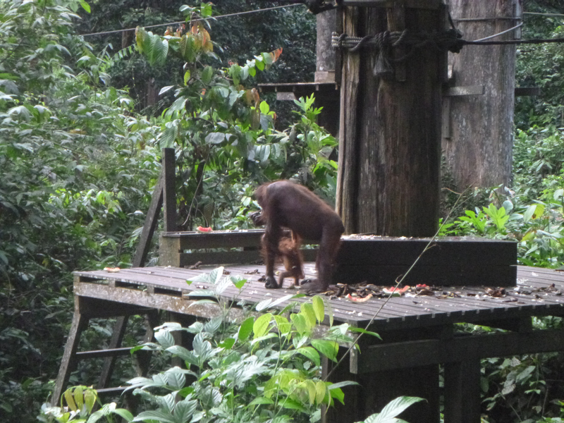 2012-10-17 15-58-20 - P1000999