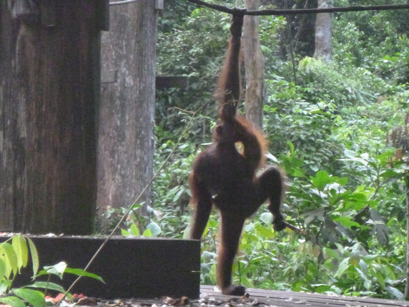 2012-10-17 16-05-35 - P1010025