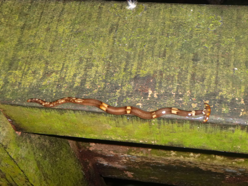 2012-10-17 18-12-07 - P1010050