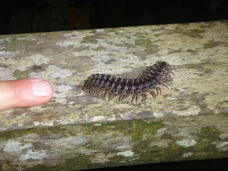 2012-10-17 18-46-23 - P1010081