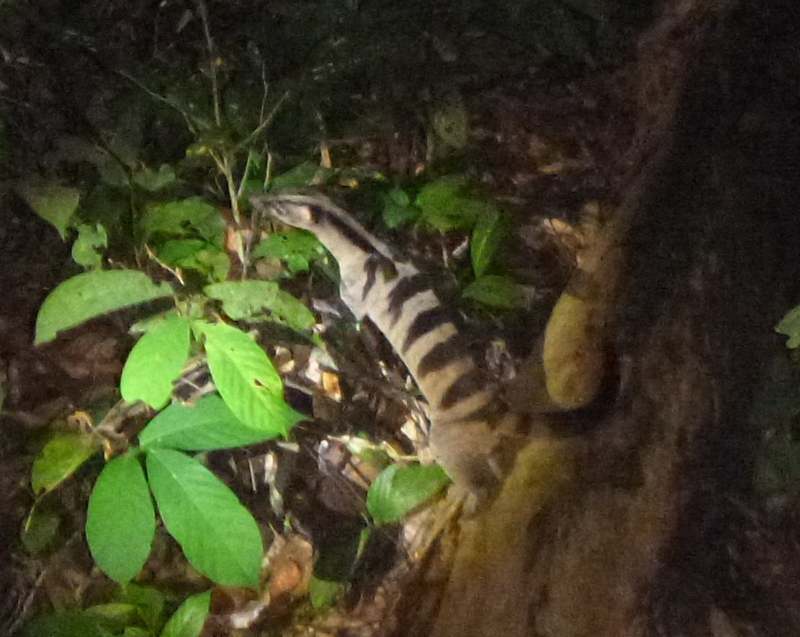 2012-10-17 18-52-36 - P1010098