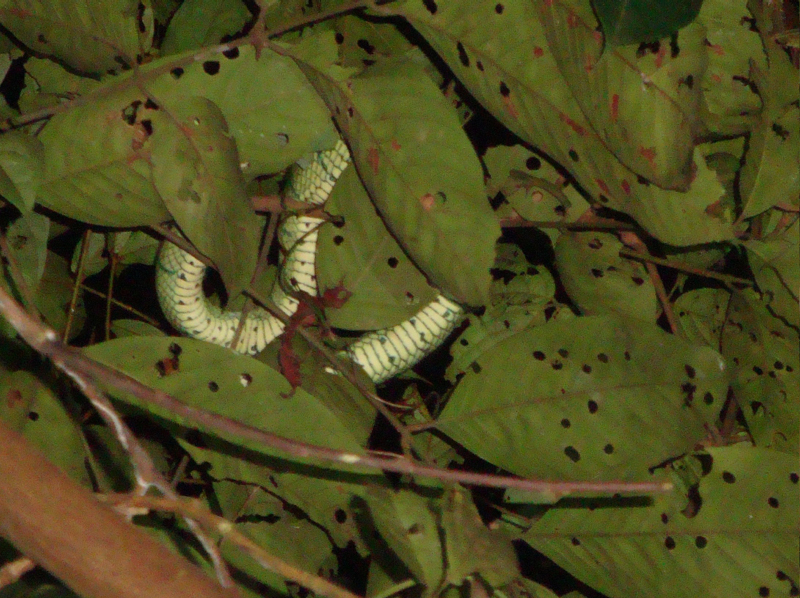 2012-10-17 23-15-20 - DSC00553