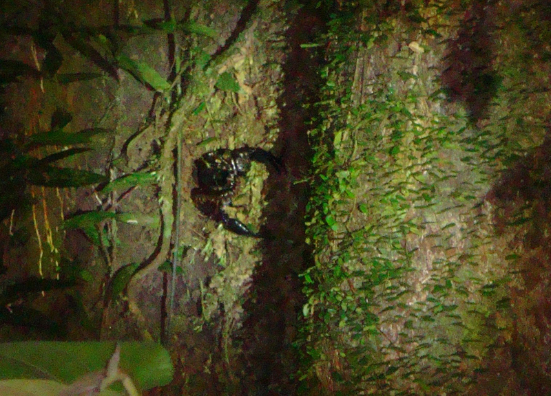 2012-10-17 23-23-17 - DSC00556