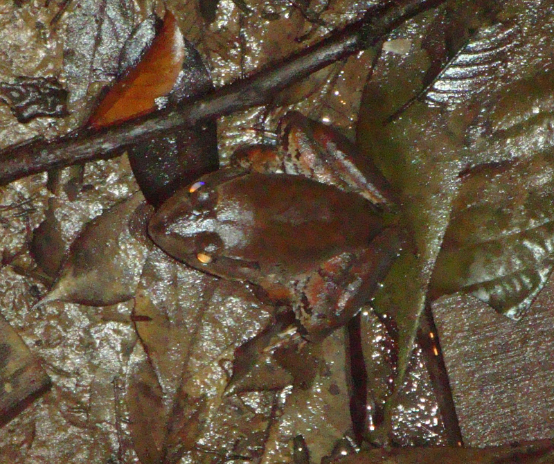 2012-10-17 23-26-40 - DSC00557