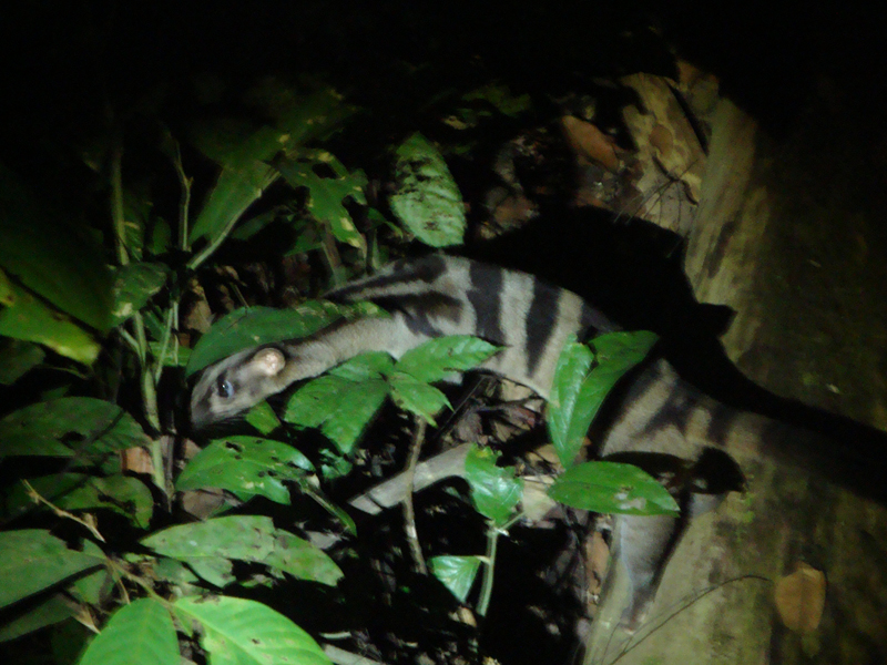 2012-10-17 23-46-44 - DSC00581