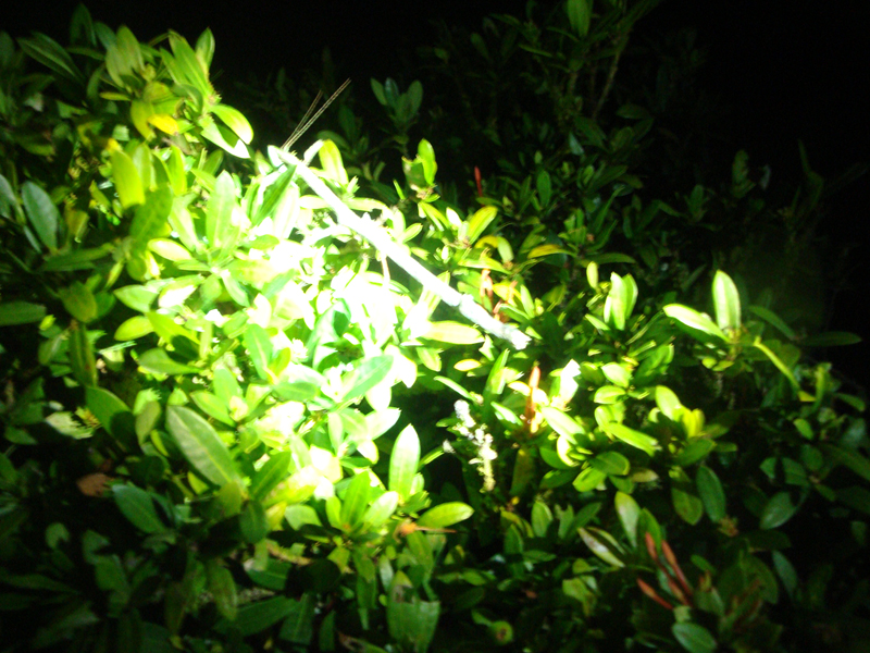 2012-10-17 23-54-53 - DSC00588