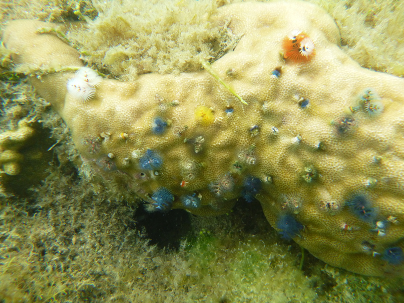 2012-10-18 16-14-30 - P1010128