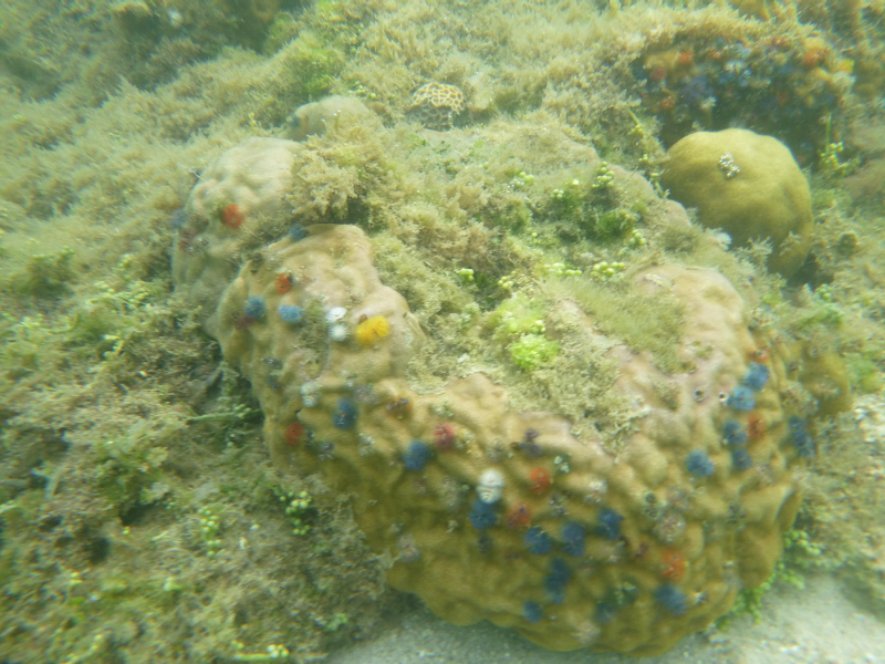 2012-10-18 16-14-42 - P1010129