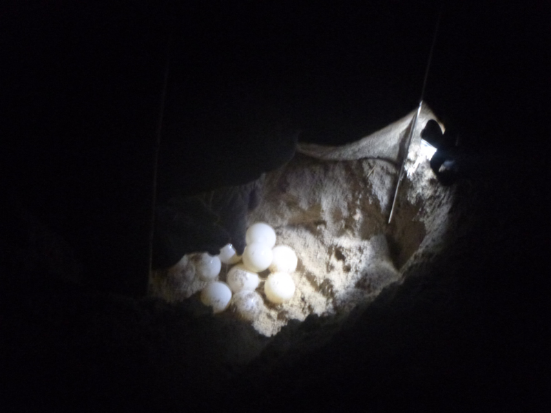 2012-10-18 20-07-05 - P1010142