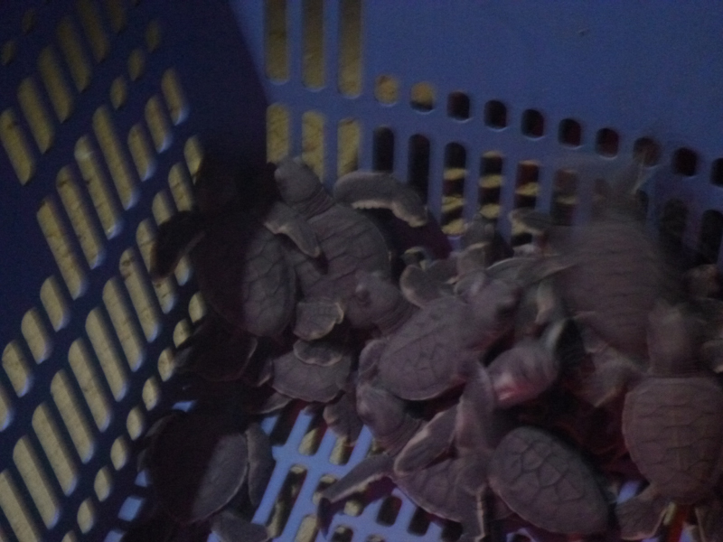 2012-10-18 20-36-34 - P1010180