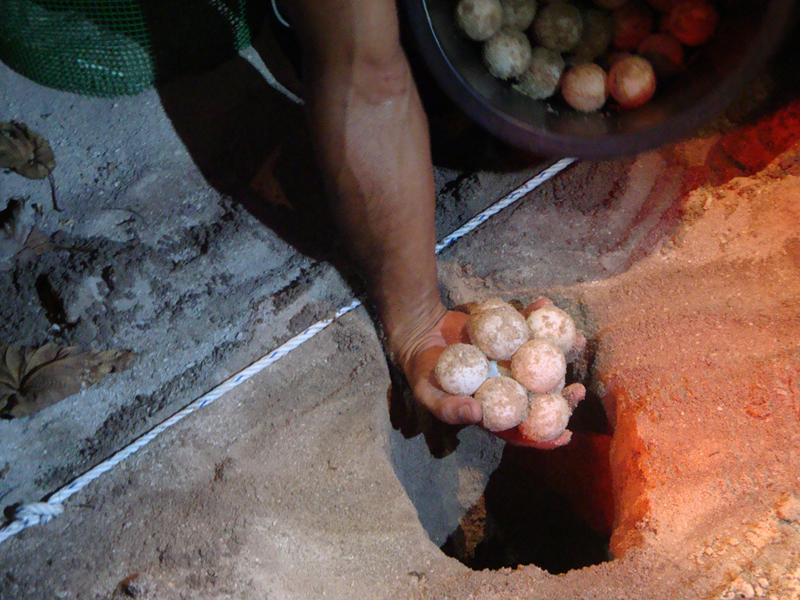 2012-10-19 01-18-02 - DSC00648