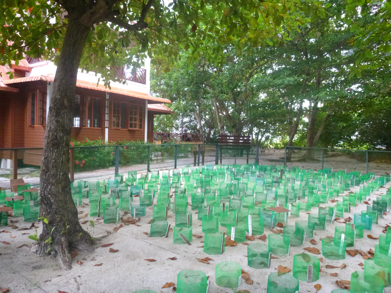 2012-10-19 06-27-19 - P1010187