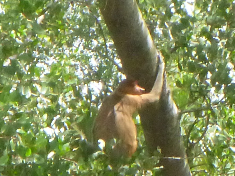 2012-10-19 12-33-37 - P1010269