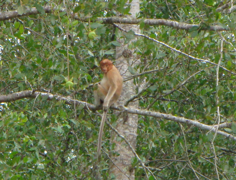 2012-10-19 20-47-16 - DSC00723