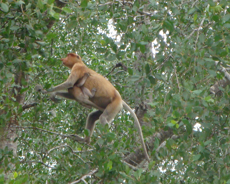 2012-10-19 20-47-39 - DSC00724