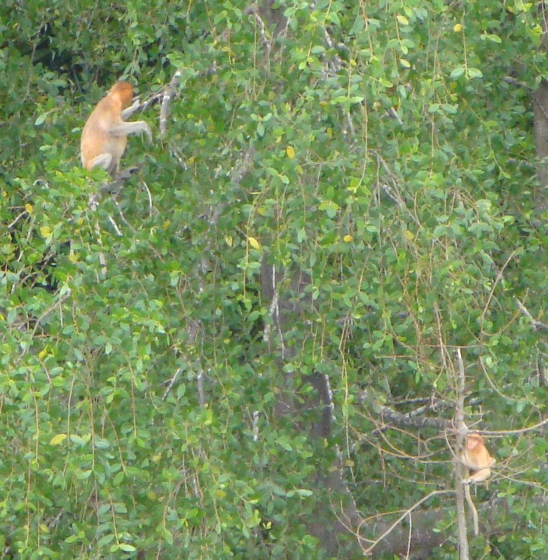 2012-10-19 20-57-44 - DSC00728