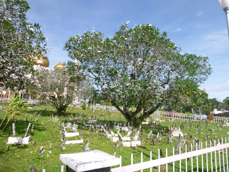 2012-10-21 09-20-31 - P1010440