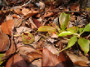 2012-10-07 15-47-18 - DSC00276