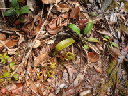 2012-10-07 15-49-19 - DSC00277
