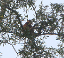2012-10-08 14-39-25 - DSC00291