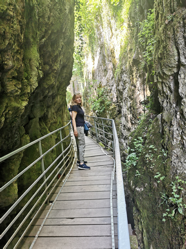 IMG_20240512_122020 - Copie