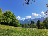 IMG_20240511_115213