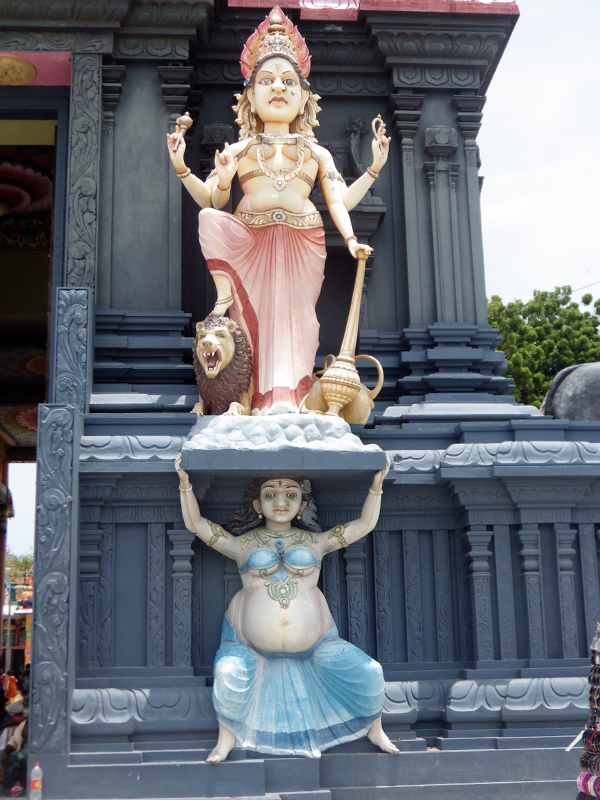 IMGP0238