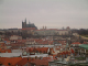DSCF0101