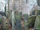 DSCF0113