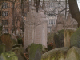 DSCF0114