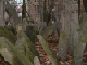 DSCF0115